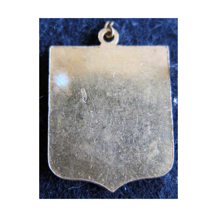 BLASON CROIX DE LORRAINE  : insigne métallique ancien blason en émail croix de Lorraine 23 x 30 mm anneau suspension