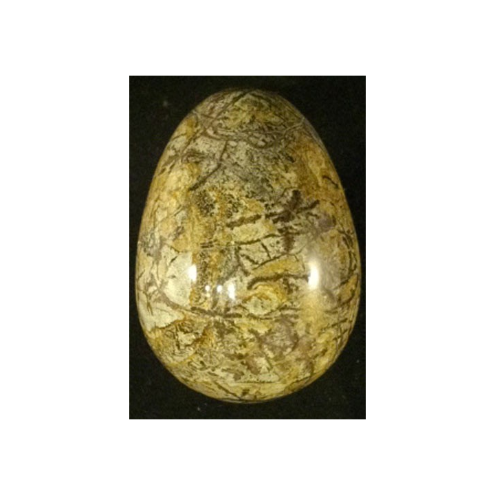 OEUF EN PIERRE 7