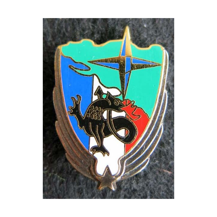DETALAT SALAMANDRE : détachement de l'aviation légère de l'armée de terre opération Salamandre 1996 Pichard