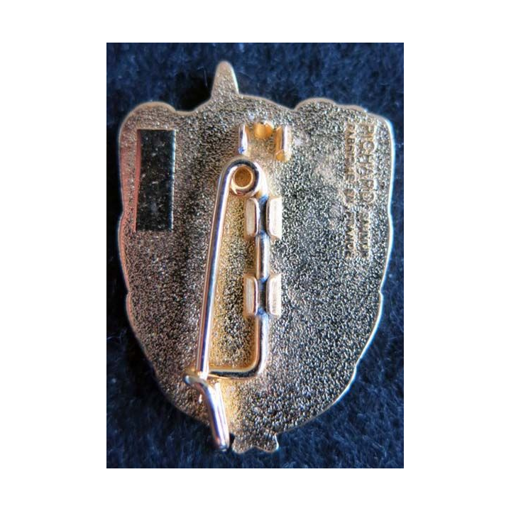 DETALAT SALAMANDRE : détachement de l'aviation légère de l'armée de terre opération Salamandre 1996 Pichard