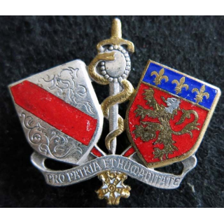ESS LYON : insigne métallique de l'école du service de santé de Lyon de fabrication Drago H. 251 émail