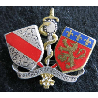 ESS LYON : insigne métallique de l'école du service de santé de Lyon de fabrication Drago H. 251 émail