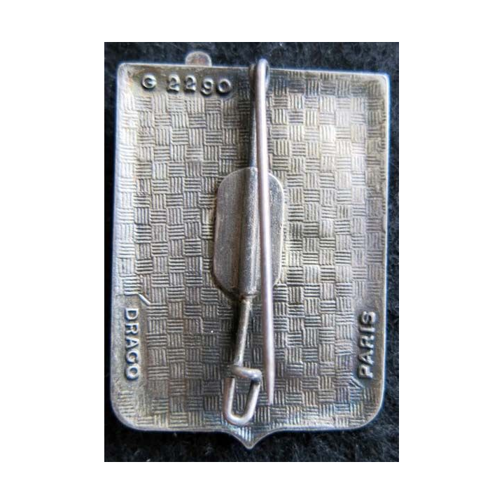 351° HA F.PICAUD : insigne du centre hospitalier des armées F.Picaud de fabrication Drago G. 2290