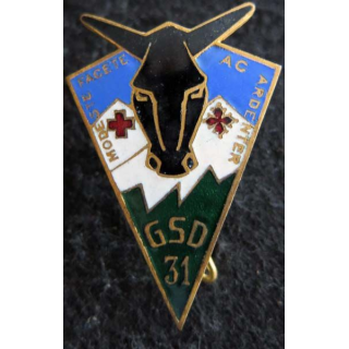 GSD N° 31 : insigne métallique du groupe sanitaire divisionnaire N° 31 de fabrication Drago Béranger déposé