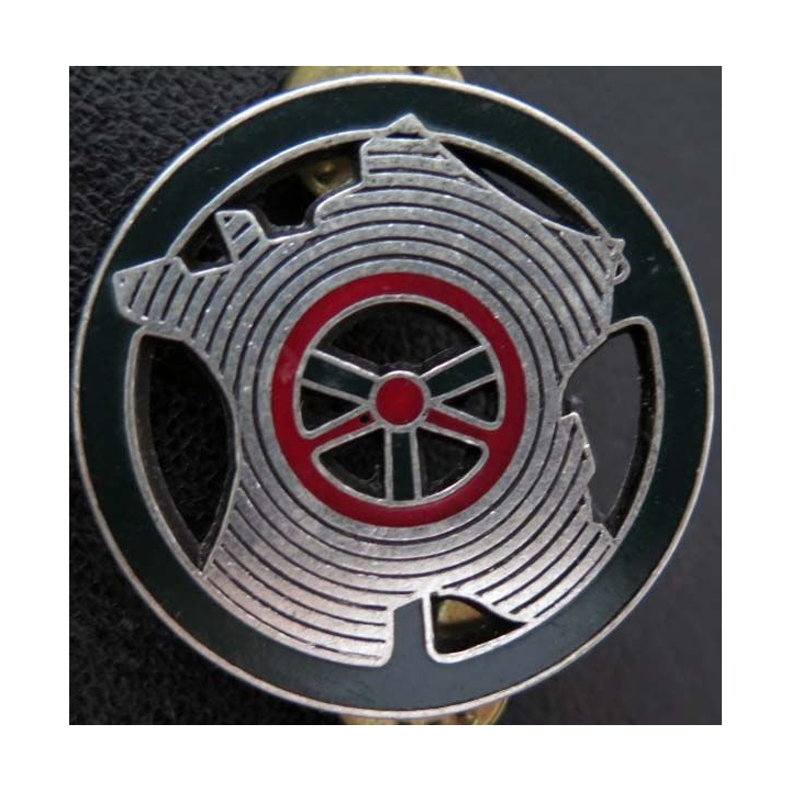 insigne moniteur de conduite automobile CT1 argent 