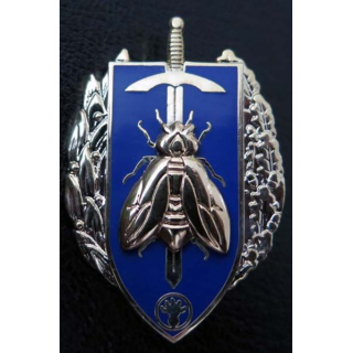 PMS brevet préparation militaire supérieure Arthus Bertrand GS 133