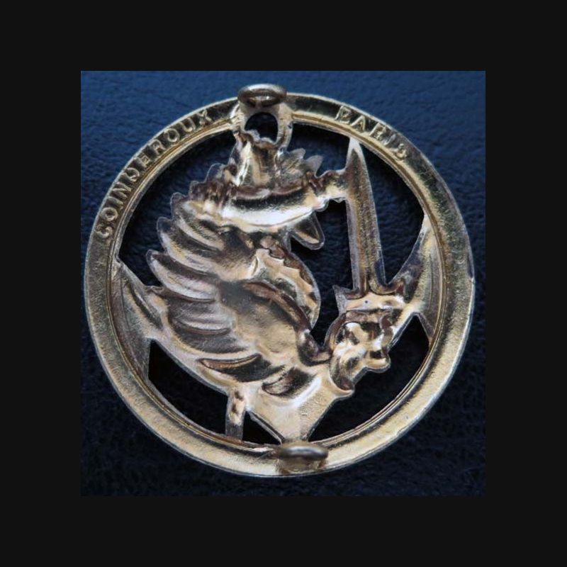 OR PARACHUTISTE TROUPES DE MARINE - Insigne de béret militaire (Armée