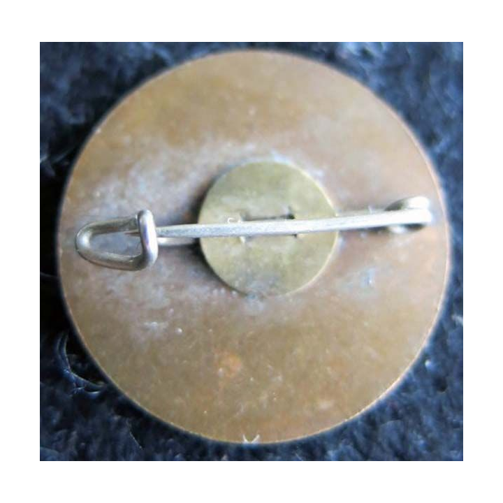 COMITÉ DE LA FLAMME  : insigne métallique de boutonnière du comité de la flamme du soldat inconnu fixation épingle doré bronze