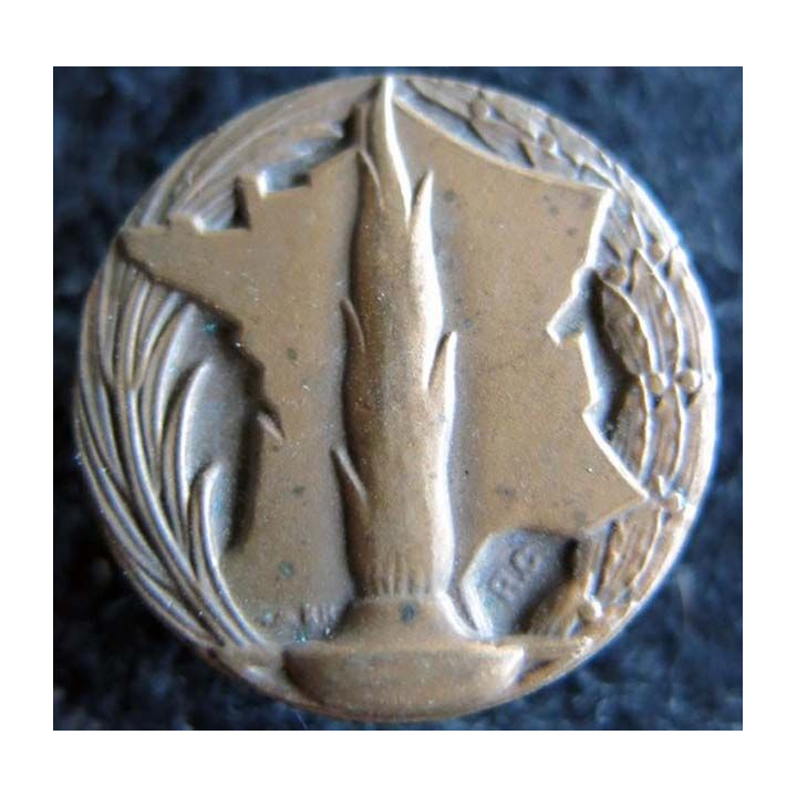 COMITÉ DE LA FLAMME  : insigne métallique de boutonnière du comité de la flamme du soldat inconnu fixation fixation patte bronze
