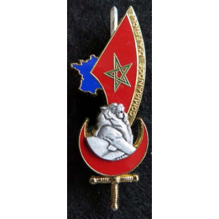 PROMOTION EOR : insigne métallique de la promotion Commandos d'Afrique Balme Saumur G. 4235