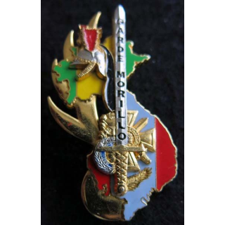 PROMOTION ESOGN : insigne métallique de la promotion Garde Morillo Boussemart GN. 0315 doré
