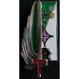 PROMOTION OAEA OAES : insigne métallique de la promotion Colonel Parazols Delsart G. 5411