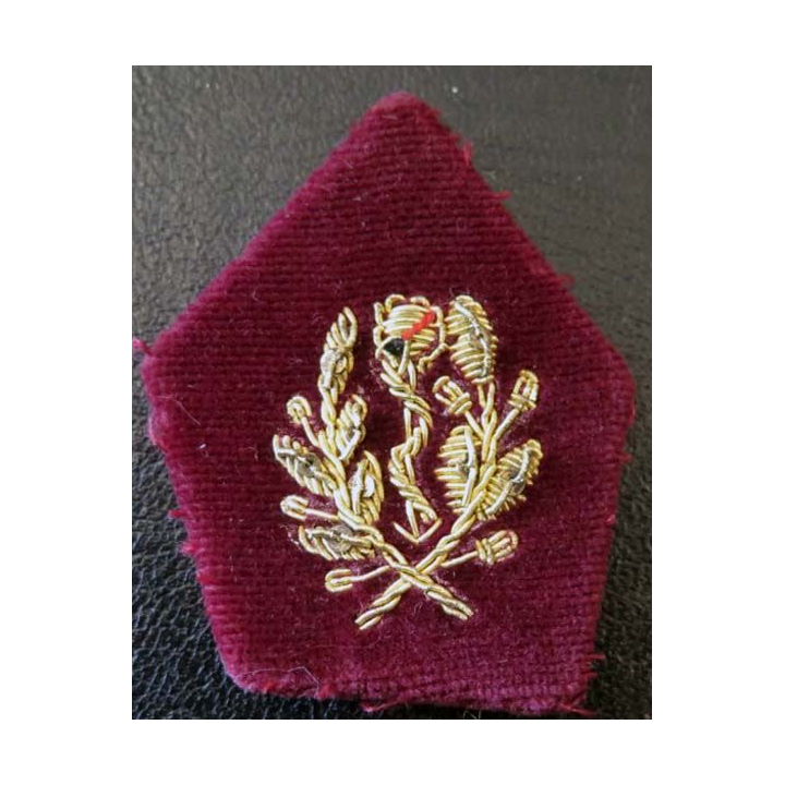 Insigne tissu de col de médecin en cannetille or