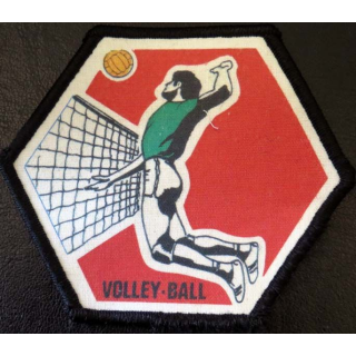 insigne tissu Volley ball 11 x 9,5 cm