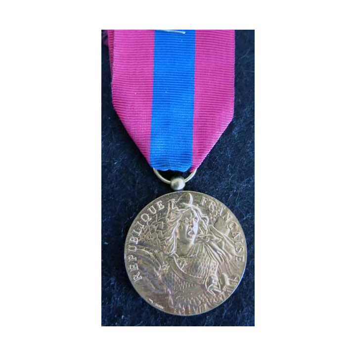 FRANCE : médaille de la défense nationale échelon bronze modèle en métal doré brillant (220)