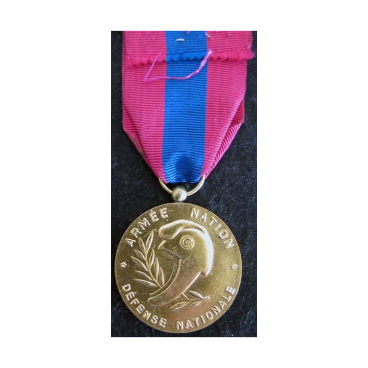 FRANCE : médaille de la défense nationale échelon bronze modèle en métal doré brillant (220)
