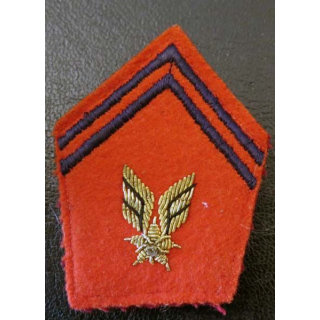 Insigne tissu de col artillerie ALAT cadre en cannetille or
