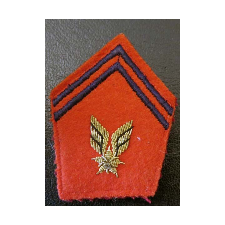 Insigne tissu de col artillerie ALAT cadre en cannetille or