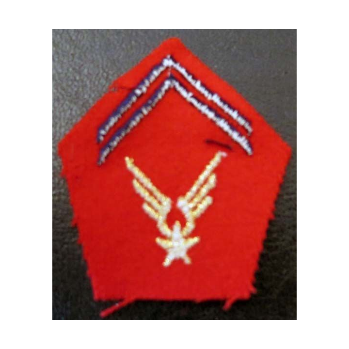 Insigne tissu de col artillerie ALAT cadre