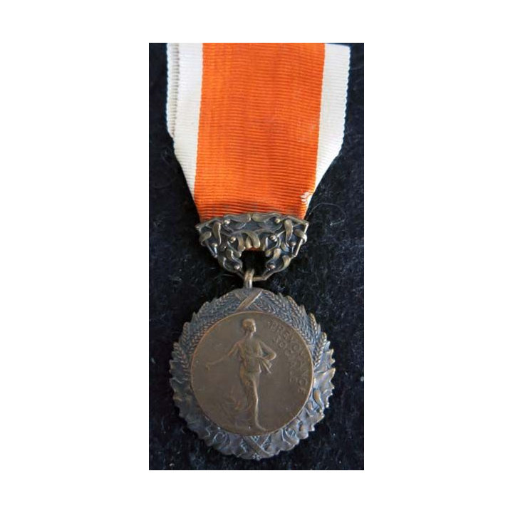 FRANCE : Médaille du ministère de l’hygiène, de l’assistance de la prévoyance sociales bronze (222)