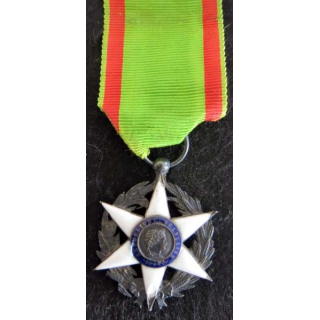 FRANCE : médaille du mérite agricole 1883 en émail et argent légers éclats