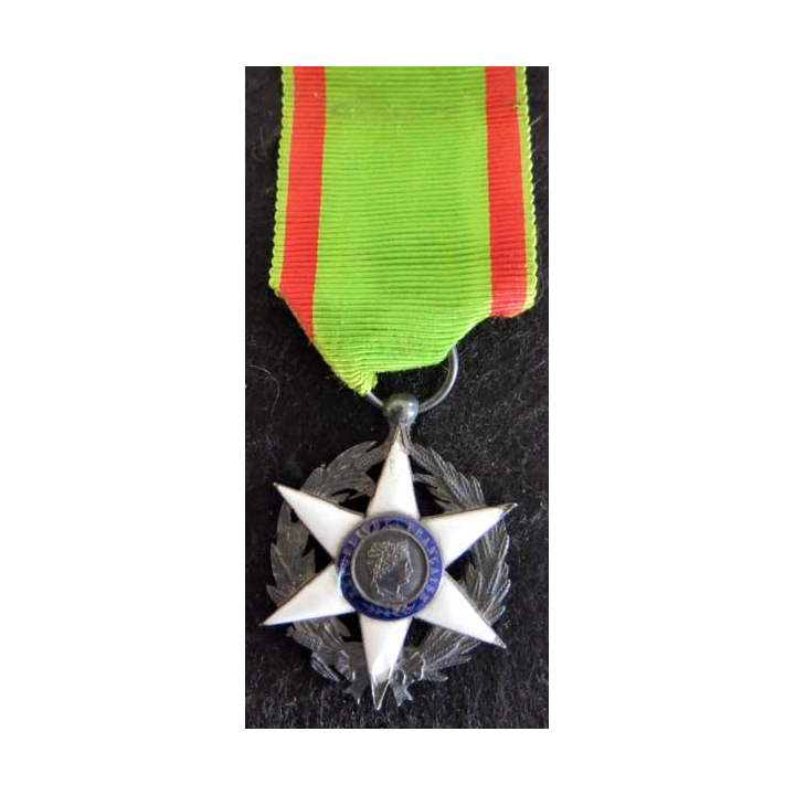 FRANCE : médaille du mérite agricole 1883 en émail et argent légers éclats