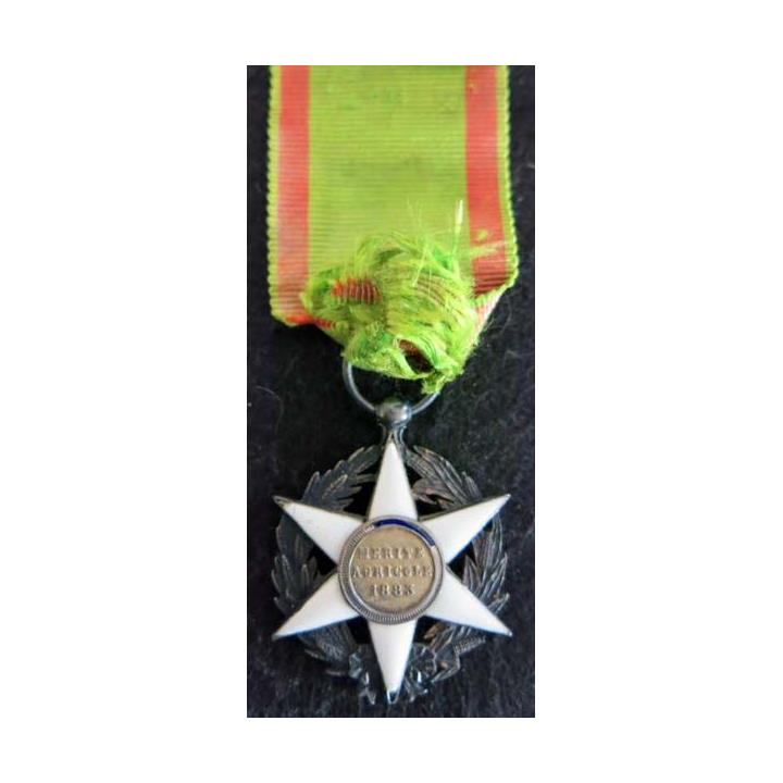 FRANCE : médaille du mérite agricole 1883 en émail et argent légers éclats