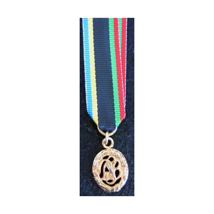 ALLEMAGNE : médaille miniature des sports allemande de grade or en métal doré brillant (224)