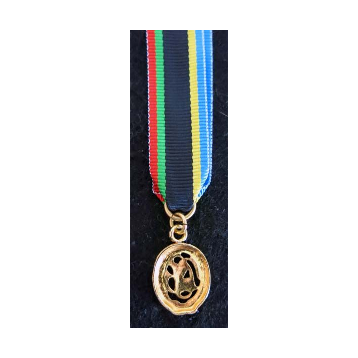 ALLEMAGNE : médaille miniature des sports allemande de grade or en métal doré brillant (224)