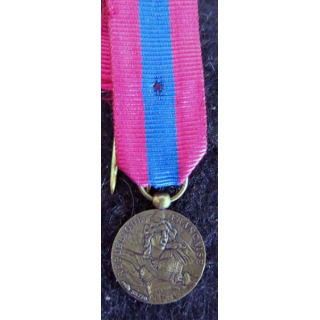 FRANCE : médaille miniature de la défense nationale en bronze (224)