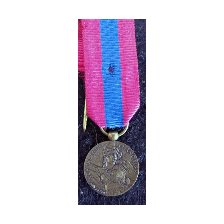 FRANCE : médaille miniature de la défense nationale en bronze (224)