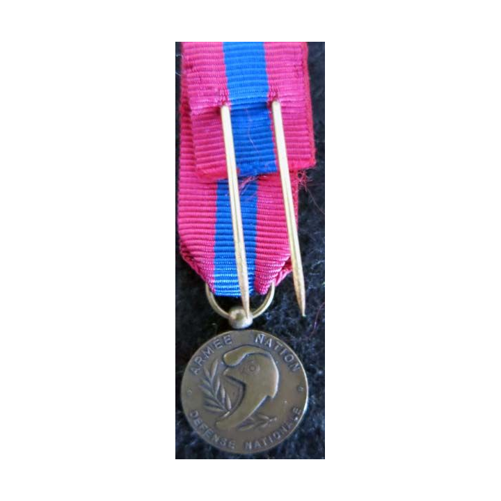 FRANCE : médaille miniature de la défense nationale en bronze (224)