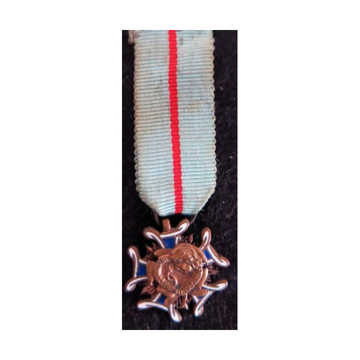 FRANCE : médaille miniature civile de l'ordre de la courtoisie française en émail et en bronze (224)