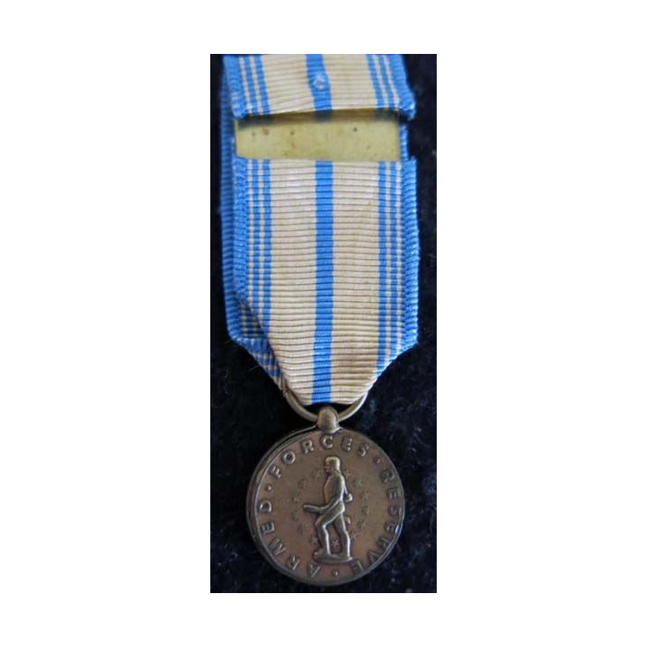 USA : Médaille miniature Armed Forces Reserve Medal de l'Army reserve