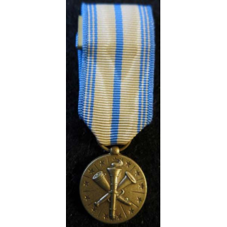 USA : Médaille miniature Armed Forces Reserve Medal de la National Guard (4467)