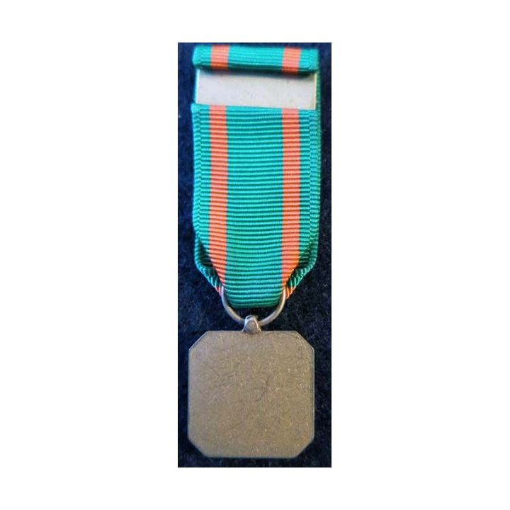 USA : Médaille miniature Achievement Medal pour l'US Navy et le Marine Corps (4419)