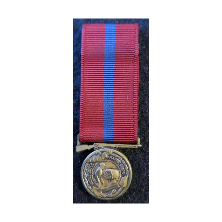 USA : Médaille miniature US Marine Corps Fidelity Zeal Obedience Medal (4427)