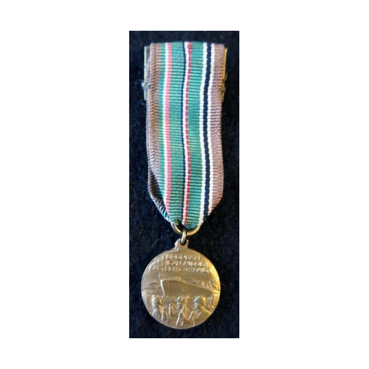 USA : Médaille miniature European-African-Middle Eastern Campaign Medal 1941-1945 (4442)