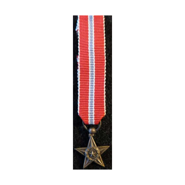 USA : Médaille miniature de la Bronze Star Medal (Médaille de l'étoile de bronze)  (4402)