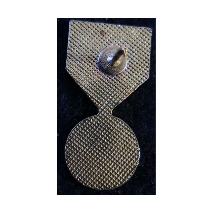 USA : Épinglette de la médaille de la Vietnam Service Medal  (4460)