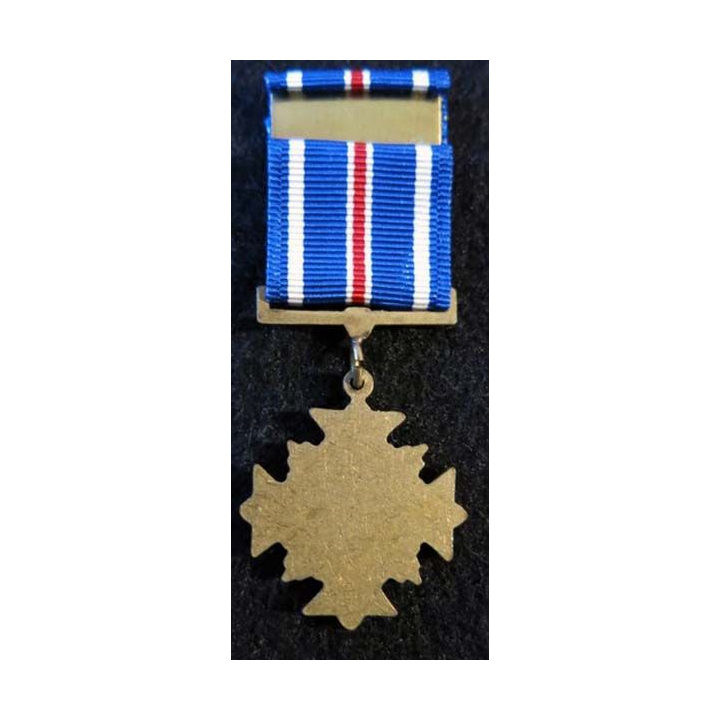 USA : Médaille miniature Distinguished Flying Cross Medal U.S. Air Force (4397)