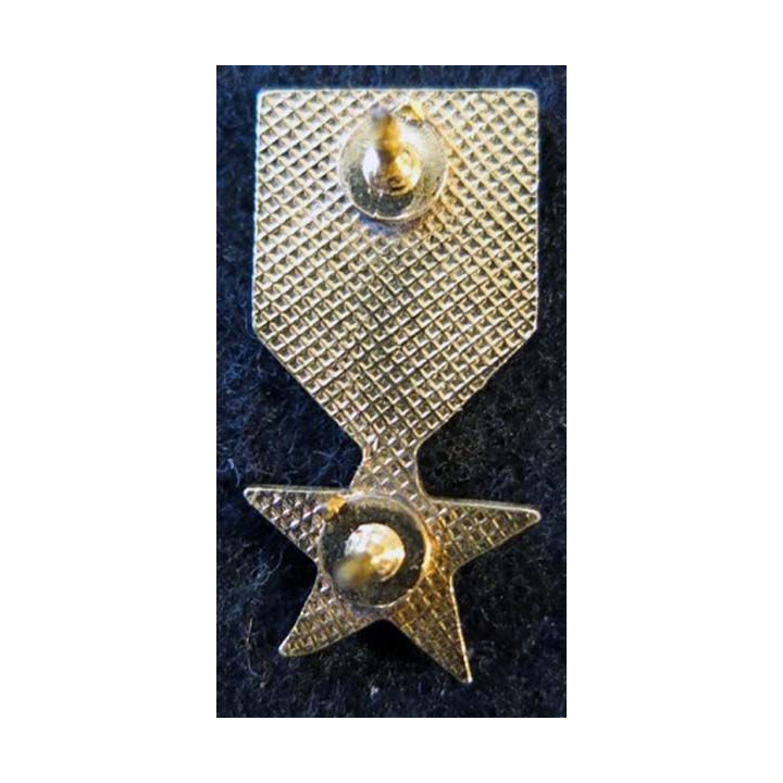 USA : Épinglette de la médaille de la Bronze Star Medal (Médaille de l'étoile de bronze)  (4404)