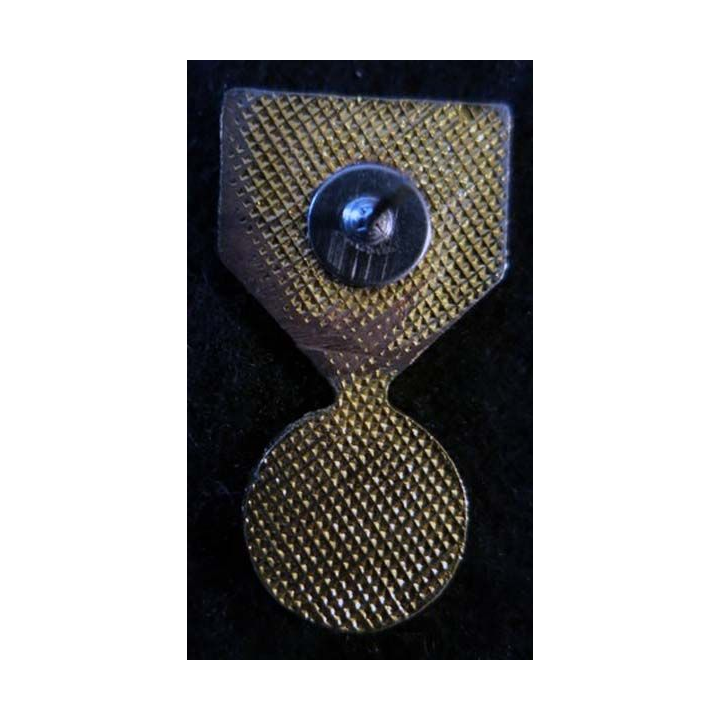USA : Épinglette de la médaille Army of Occupation Medal  (4448)