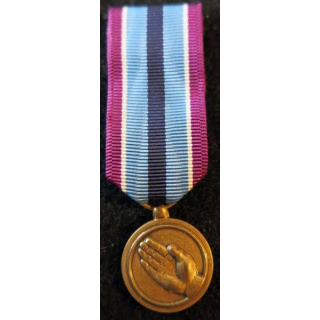 USA : Médaille miniature de la Humanitarian Service Medal (4463)