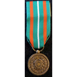 USA : Médaille miniature Achievement Medal pour l'U.S. Coast Guard  (4421)