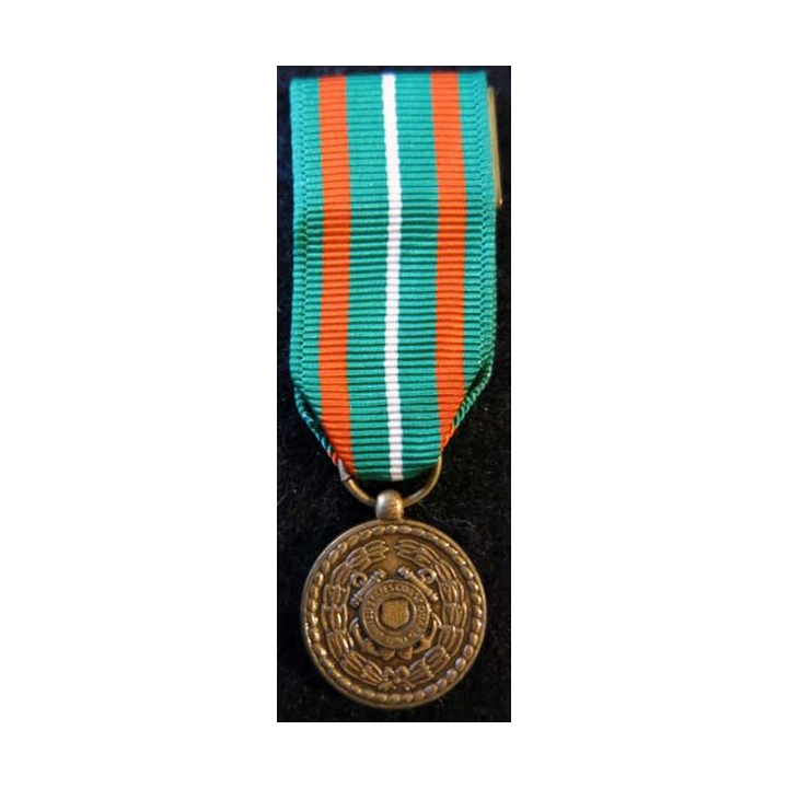 USA : Médaille miniature Achievement Medal pour l'U.S. Coast Guard  (4421)