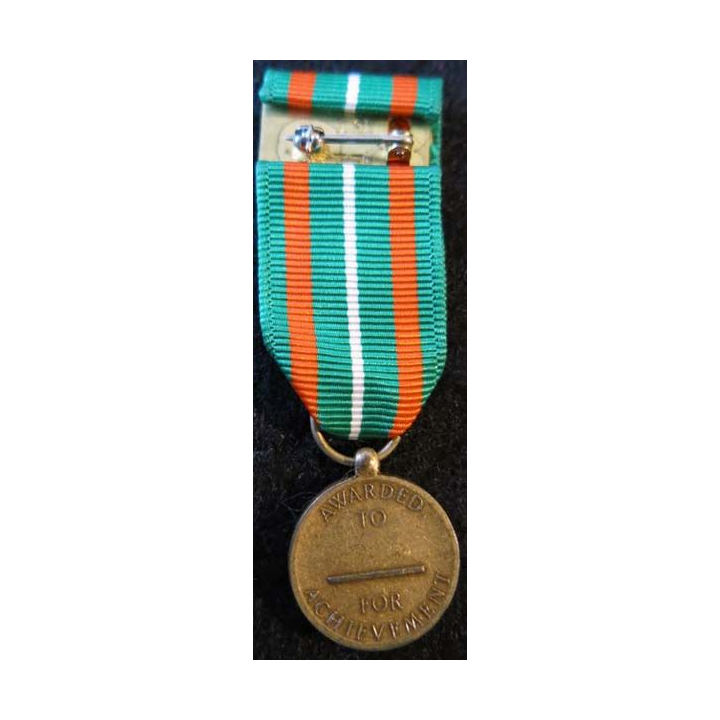 USA : Médaille miniature Achievement Medal pour l'U.S. Coast Guard  (4421)