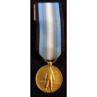 USA : Médaille miniature de l'Antarctica Service Medal (4461)