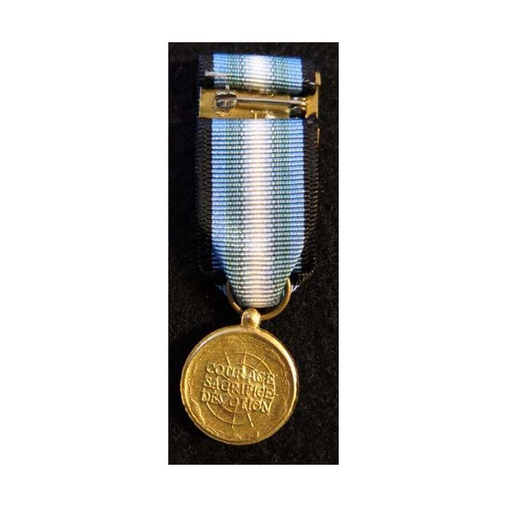 USA : Médaille miniature de l'Antarctica Service Medal (4461)