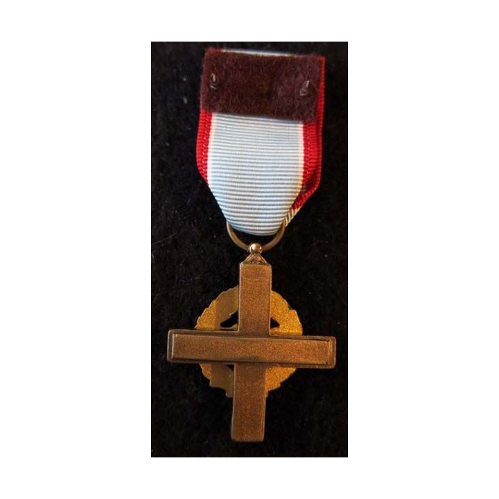 USA : Médaille miniature de l'Air Force Cross (4388)